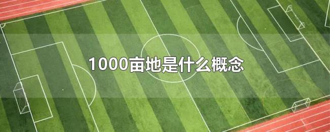 1000亩地是什么概念 1000亩地是什么概念