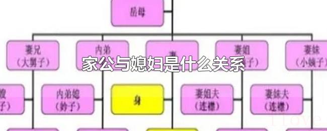 家公与媳妇是什么关系