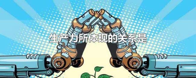 生产力所体现的关系是