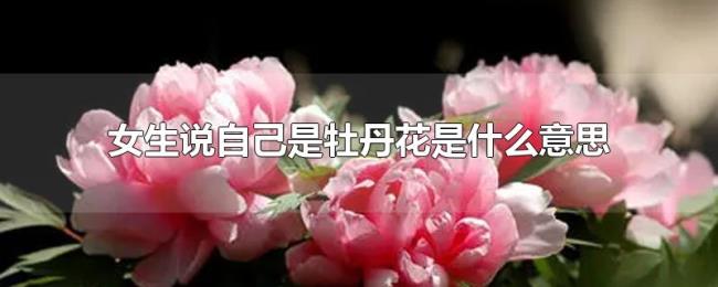 女生说自己是牡丹花是什么意思 女生说自己是牡丹花是什么意思