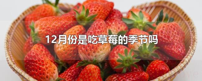 12月份是吃草莓的季节吗 12月份是吃草莓的季节吗