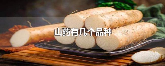 山药有几个品种 山药有几个品种