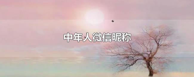 中年人微信昵称 中年人微信昵称