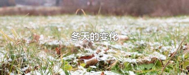 冬天的变化 冬天的变化