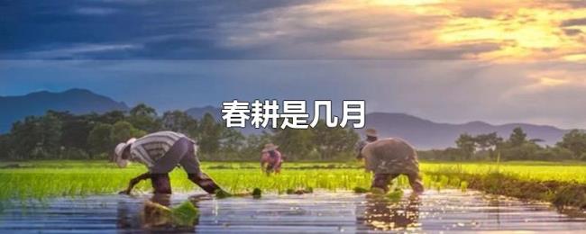 春耕是几月 春耕是几月