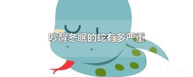 吵醒冬眠的蛇有多严重