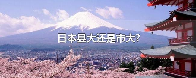 日本县大还是市大? 日本县大还是市大?