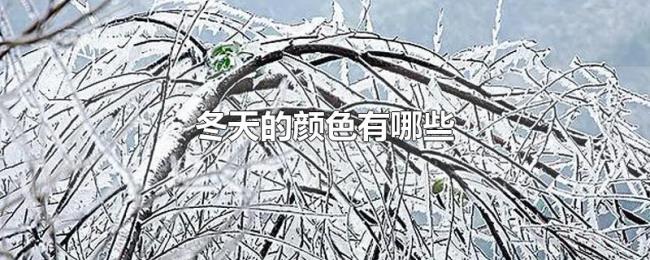 冬天的颜色有哪些 冬天的颜色有哪些