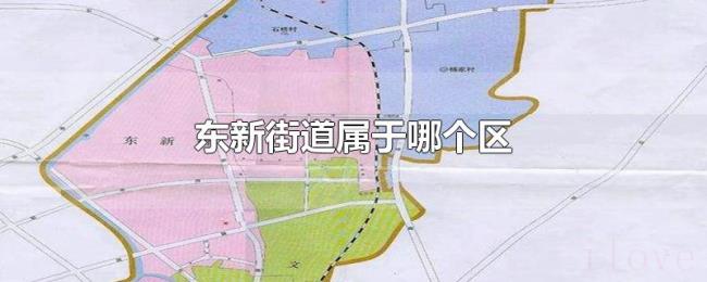 东新街道属于哪个区 东新街道属于哪个区