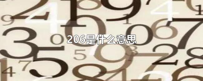 206是什么意思 206是什么意思
