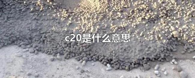 c20是什么意思 c20是什么意思