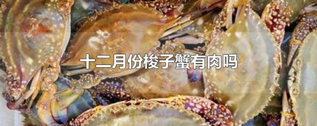 十二月份梭子蟹有肉吗