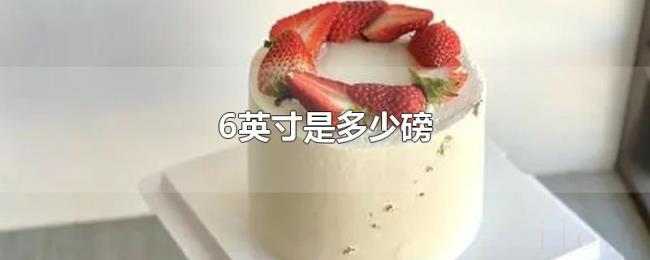 6英寸是多少磅 6英寸是多少磅
