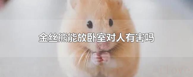 金丝熊能放卧室对人有害吗 金丝熊能放卧室对人有害吗