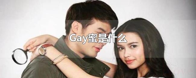 Gay蜜是什么 Gay蜜是什么