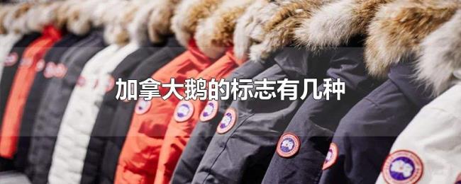 加拿大鹅的标志有几种 加拿大鹅的标志有几种