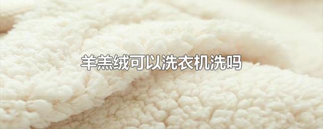 羊羔绒可以洗衣机洗吗