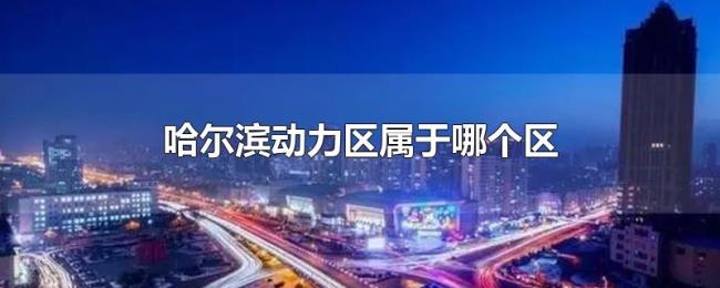 哈尔滨动力区属于哪个区