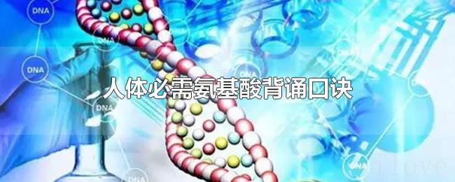 人体必需氨基酸背诵口诀