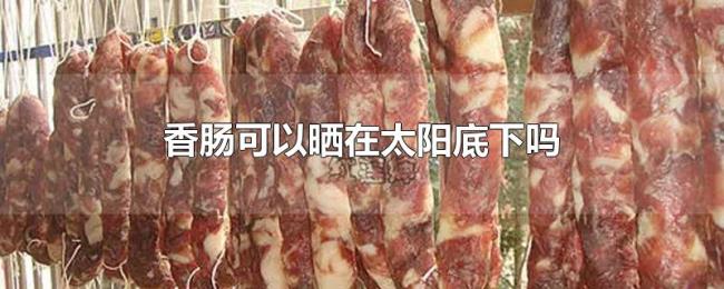 香肠可以晒在太阳底下吗
