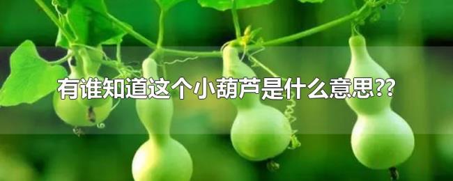 有谁知道这个小葫芦是什么意思?? 有谁知道这个小葫芦是什么意思??