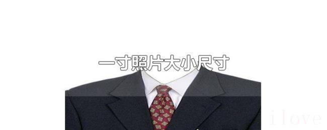 一寸照片大小尺寸