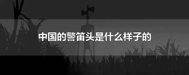 中国的警笛头是什么样子的