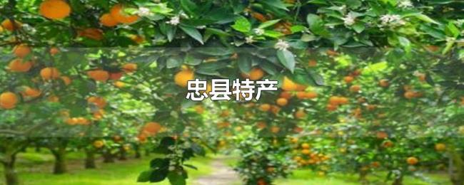 忠县特产