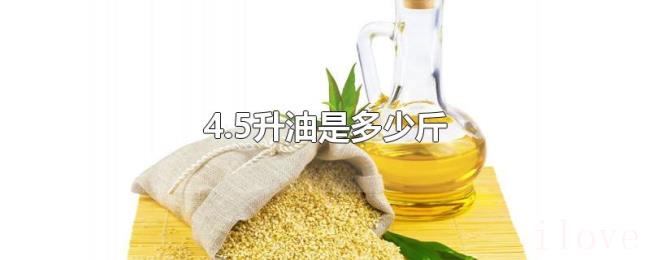 4.5升油是多少斤 4.5升油是多少斤