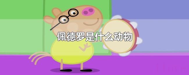 佩德罗是什么动物 佩德罗是什么动物