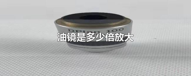 油镜是多少倍放大 油镜是多少倍放大
