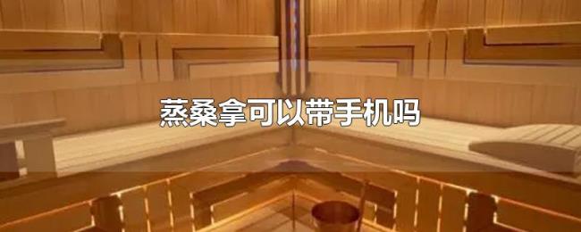 蒸桑拿可以带手机吗