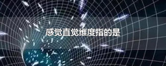 感觉直觉维度指的是