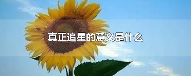 真正追星的意义是什么 真正追星的意义是什么