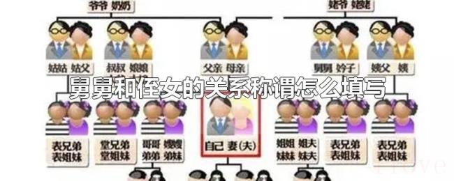 舅舅和侄女的关系称谓怎么填写