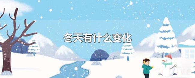 冬天有什么变化