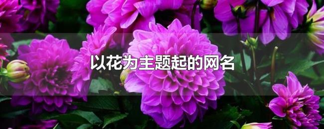 以花为主题起的网名
