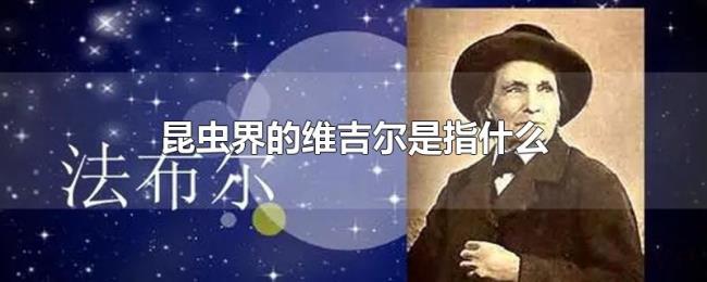 昆虫界的维吉尔是指什么 昆虫界的维吉尔是指什么