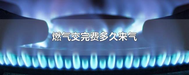 燃气交完费多久来气
