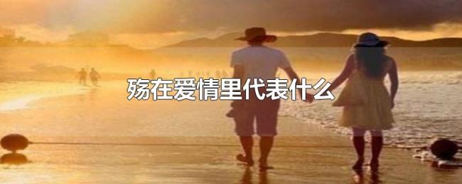 殇在爱情里代表什么