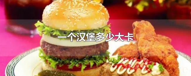 一个汉堡多少大卡 一个汉堡多少大卡