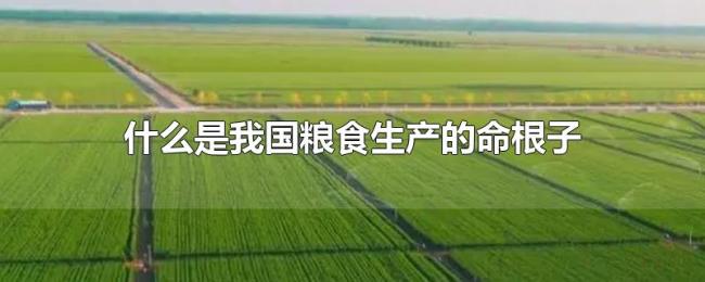 什么是我国粮食生产的命根子