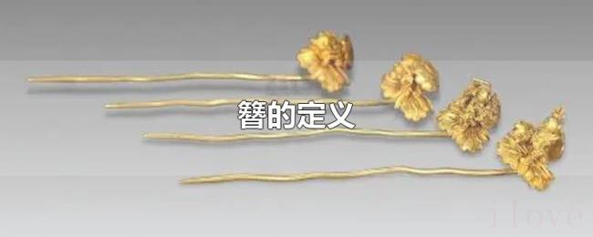 簪的定义 簪的定义