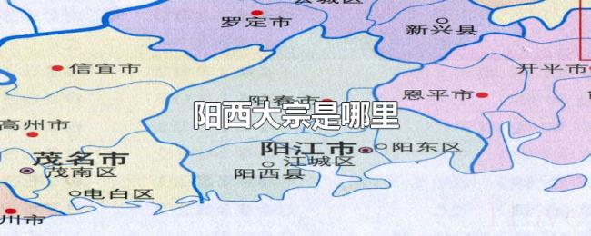 阳西大宗是哪里