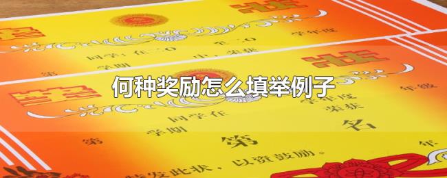 何种奖励怎么填举例子 何种奖励怎么填举例子