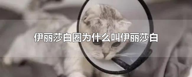 伊丽莎白圈为什么叫伊丽莎白 伊丽莎白圈为什么叫伊丽莎白