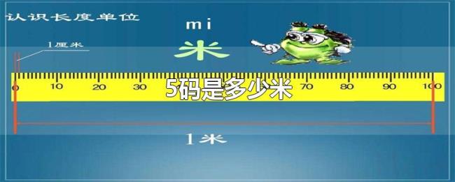 5码是多少米