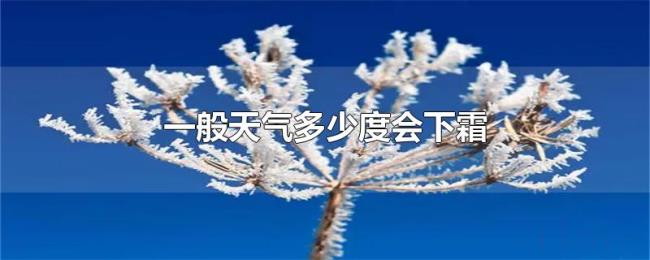 一般天气多少度会下霜