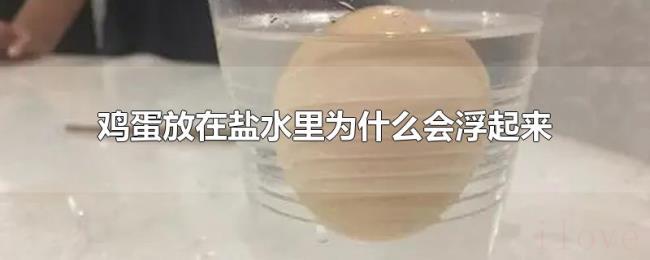 鸡蛋放在盐水里为什么会浮起来 鸡蛋放在盐水里为什么会浮起来