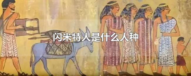 闪米特人是什么人种